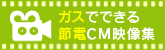 �K�X�łł���ߓdCM�f���W
