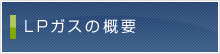 LP�K�X�̊T�v