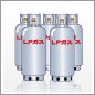 LP�K�X�̋K�i