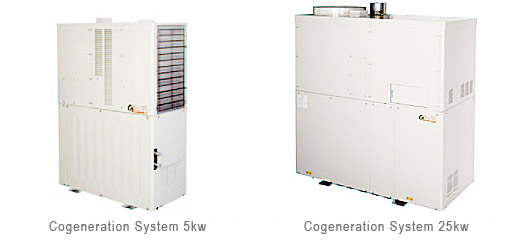 Cogeneration System