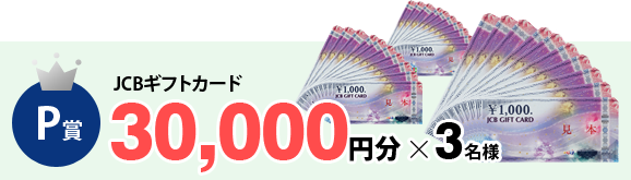 30,000円分×3名様