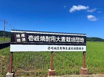 壱岐産「大麦」の栽培地